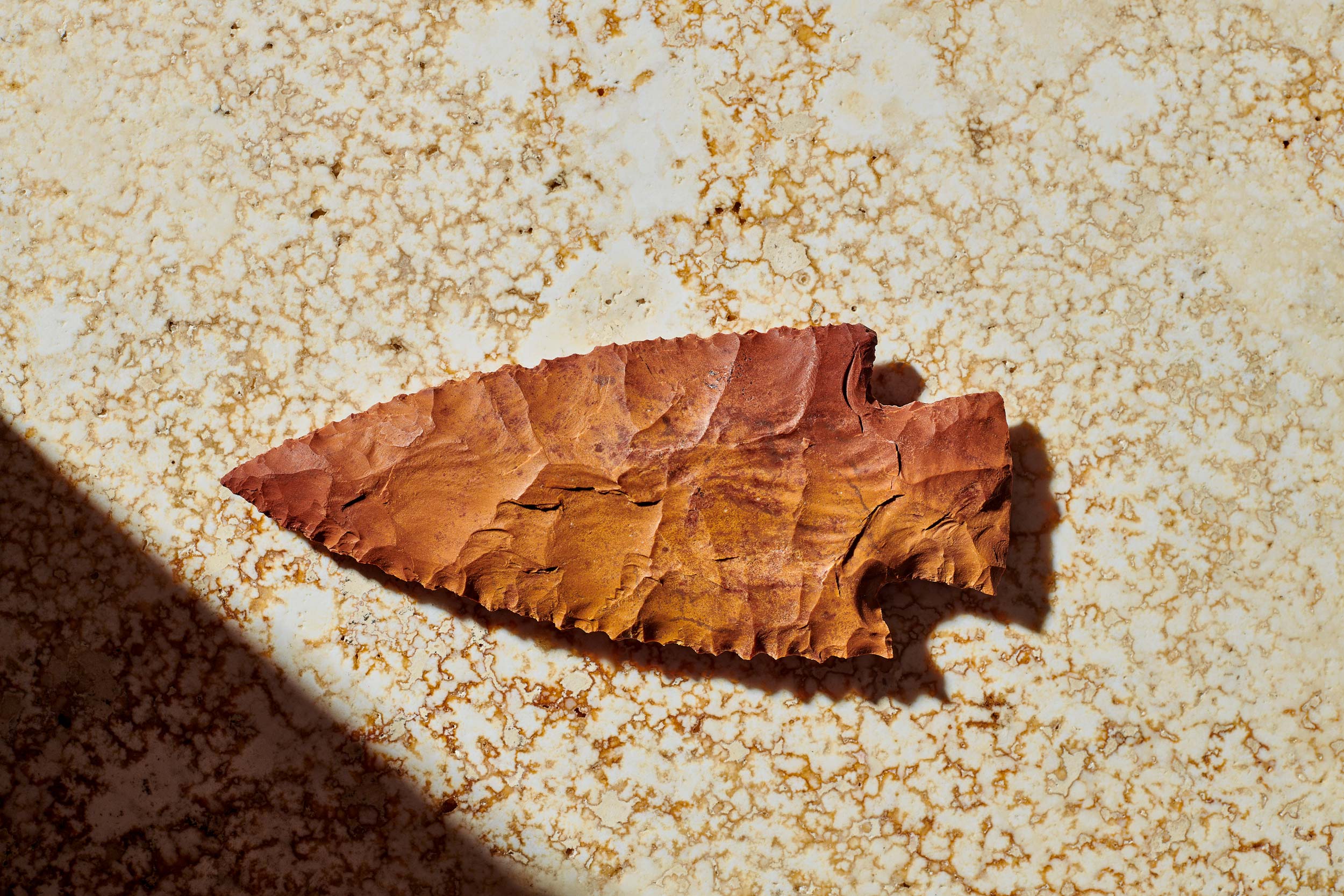 StillLife_2023_013