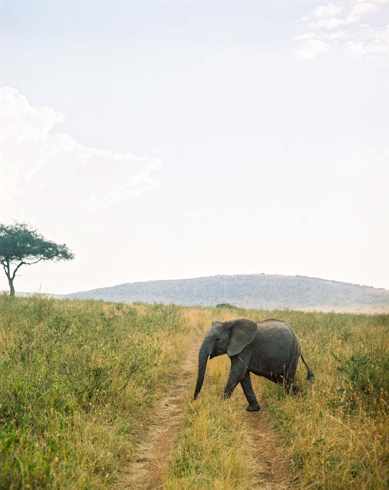 TravelHospitalisty_2023_05_097